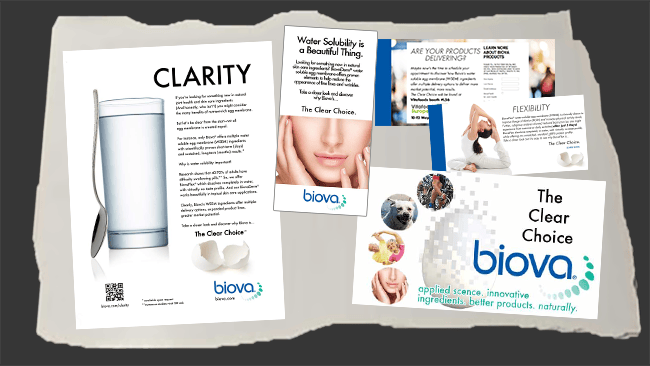 Biova – Social, Digital,&nbsp;Ads